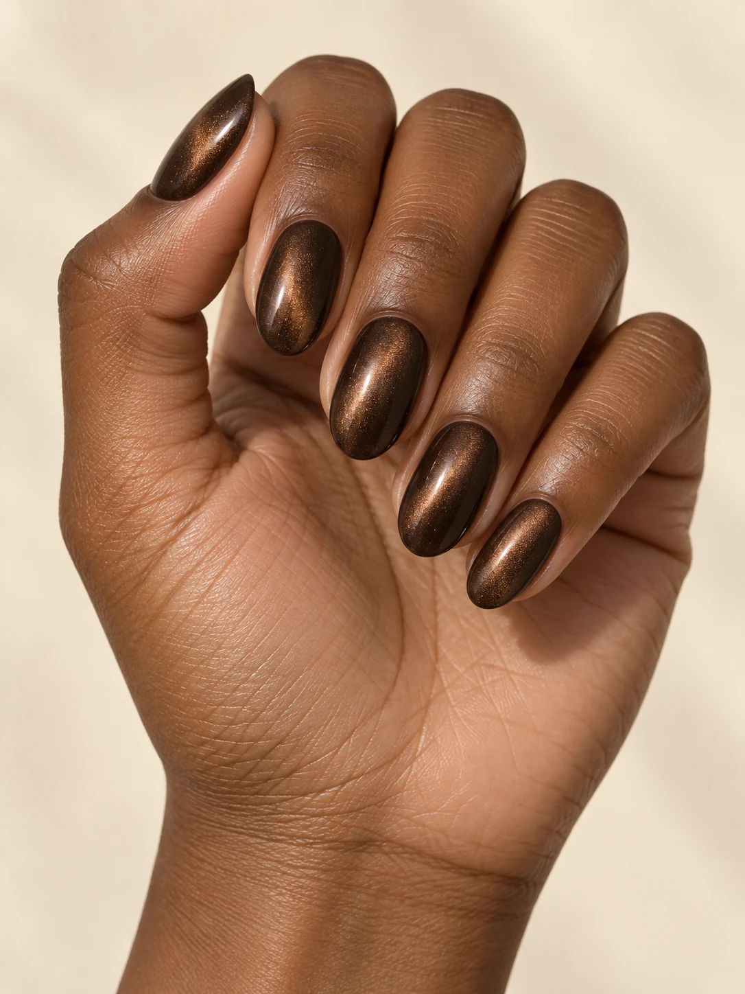 Schokolade mit samtigem Bronzereflex. Form: Oval; Länge: Mittel.
